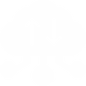 Data Streams